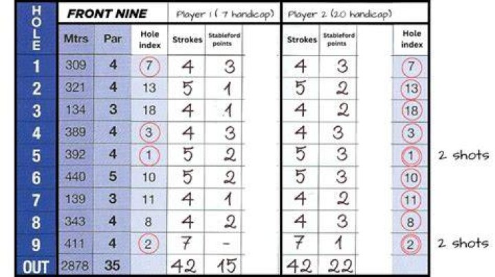 What is a perfect golf score called?
