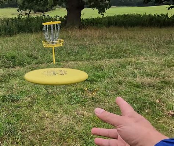 What is a putter in disc golf?