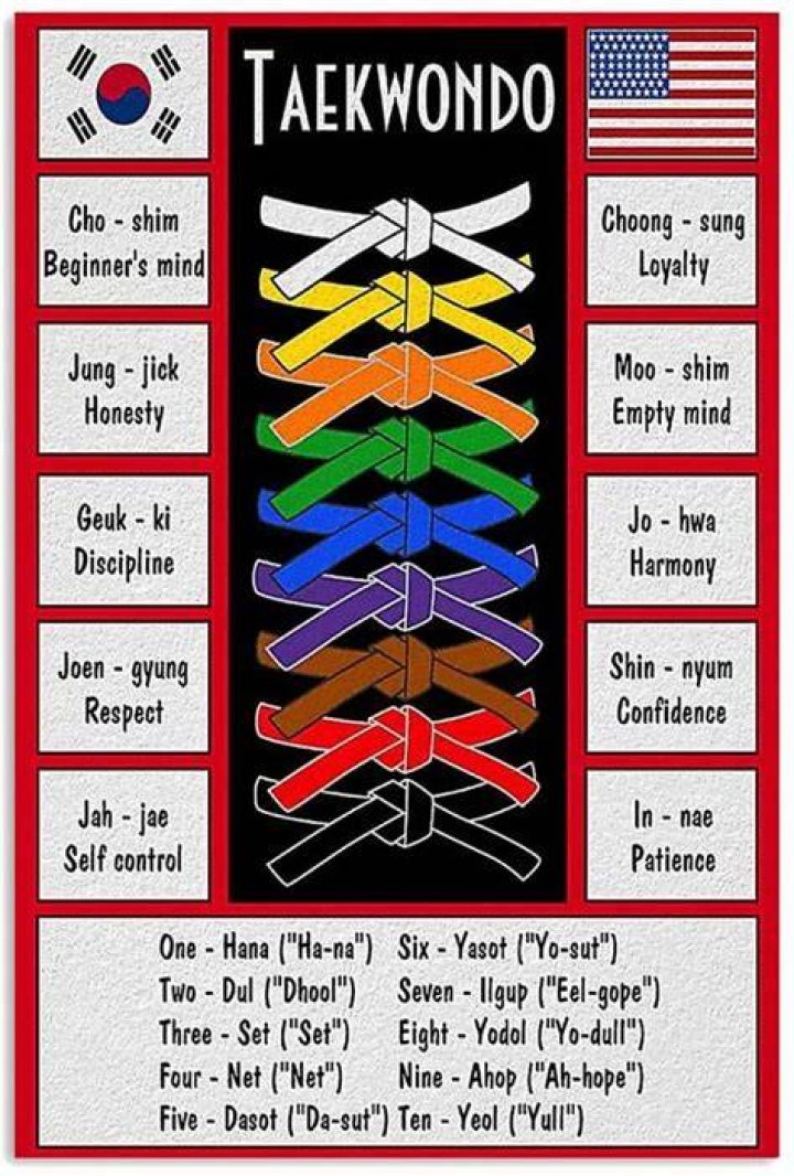 What is a red belt in taekwondo?
