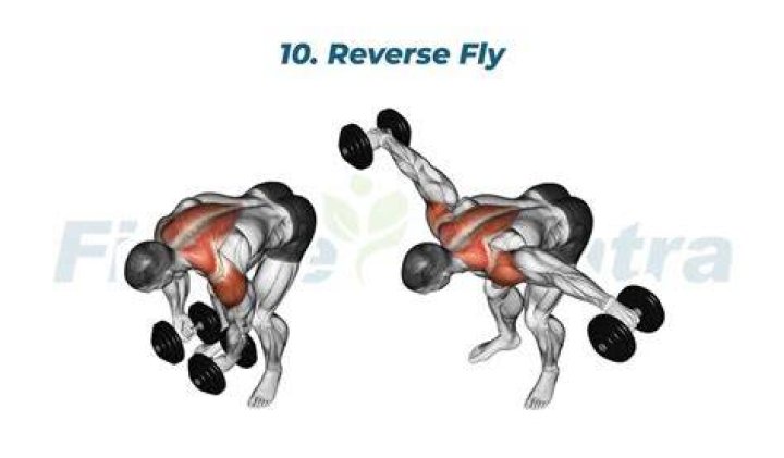 What is a reverse fly exercise?