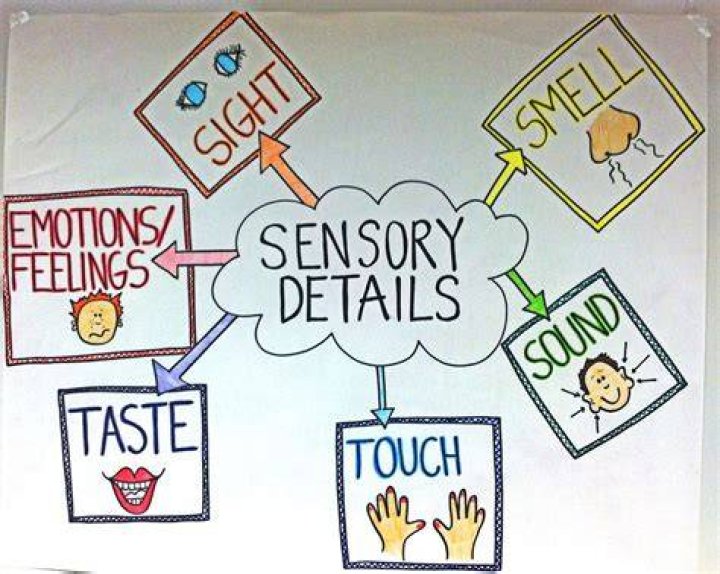 What is a sensory detail?