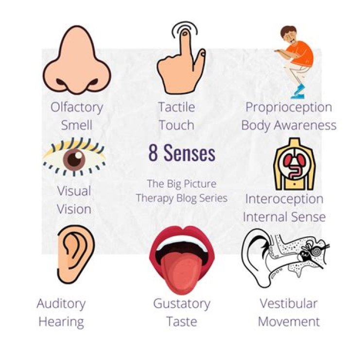 What is a sensory image?