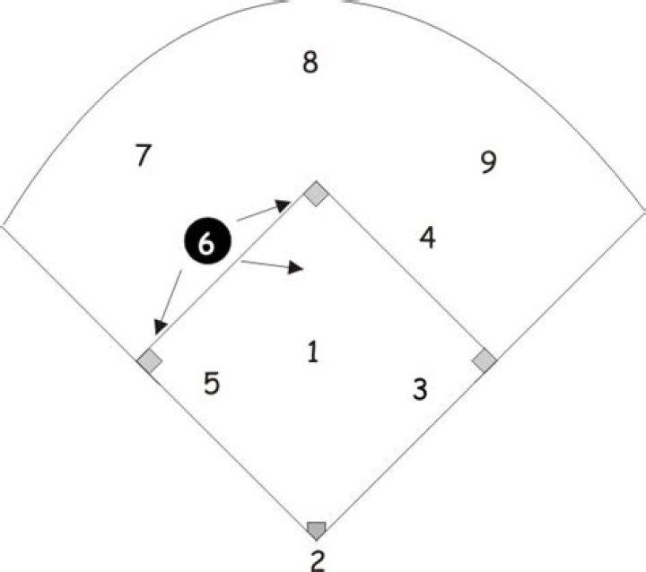 What is a shortstop in softball?