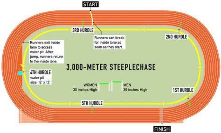 What is a steeplechase race in 2000m?