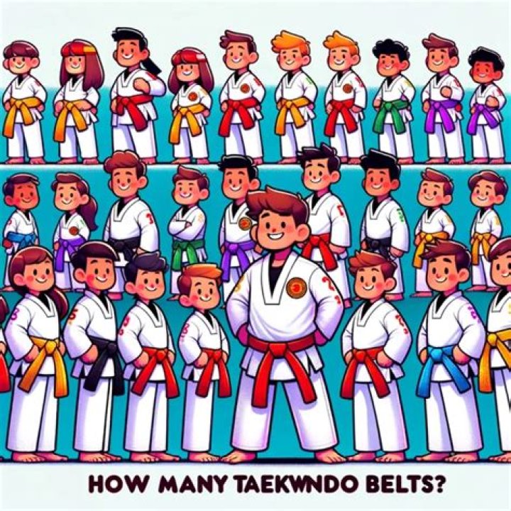 What is a Taekwondo sword called?