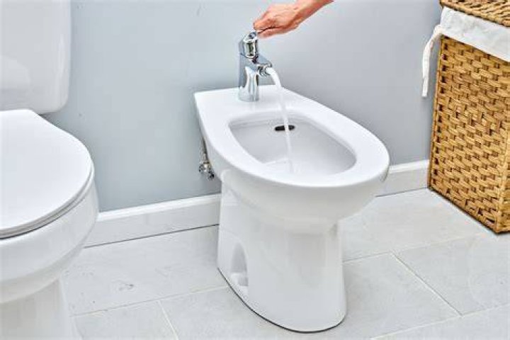What is a toilet bidet?