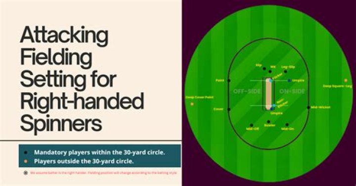 What is a top spinner in cricket?