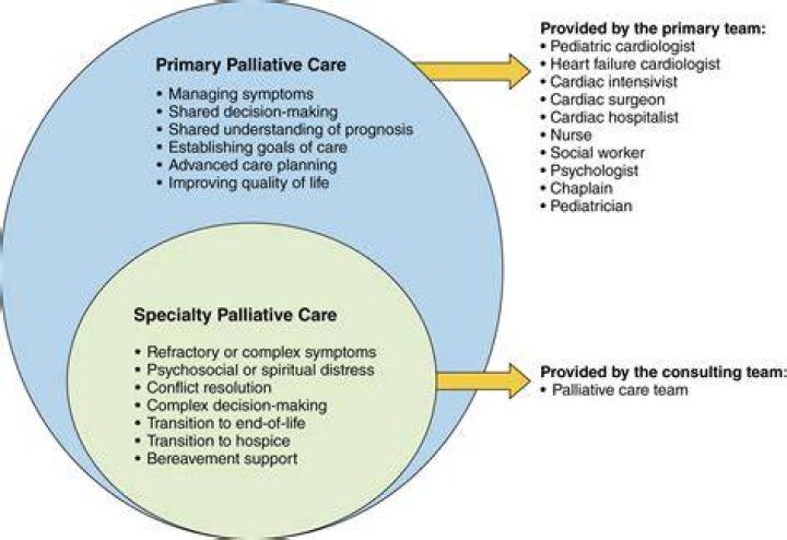 What is an example of palliative care?