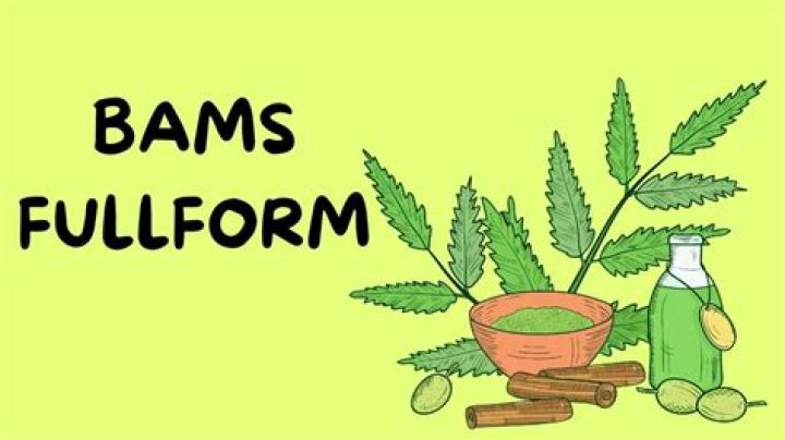 What is BAMS Fullform?