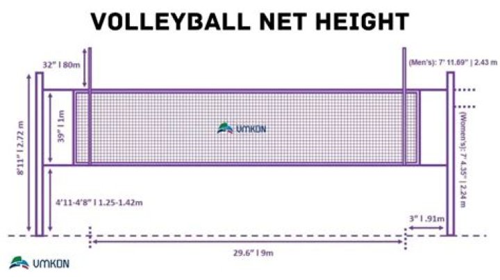 What is best height for volleyball?