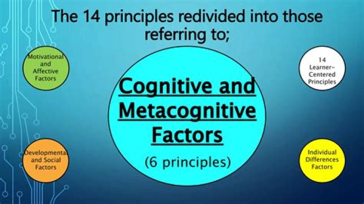 What is cognitive and metacognitive factors essay?