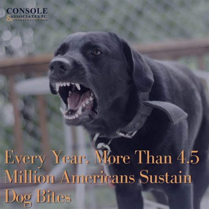 What is considered a serious dog bite?