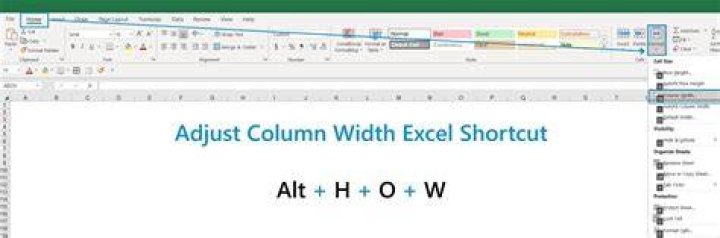 What is D $44 Excel?