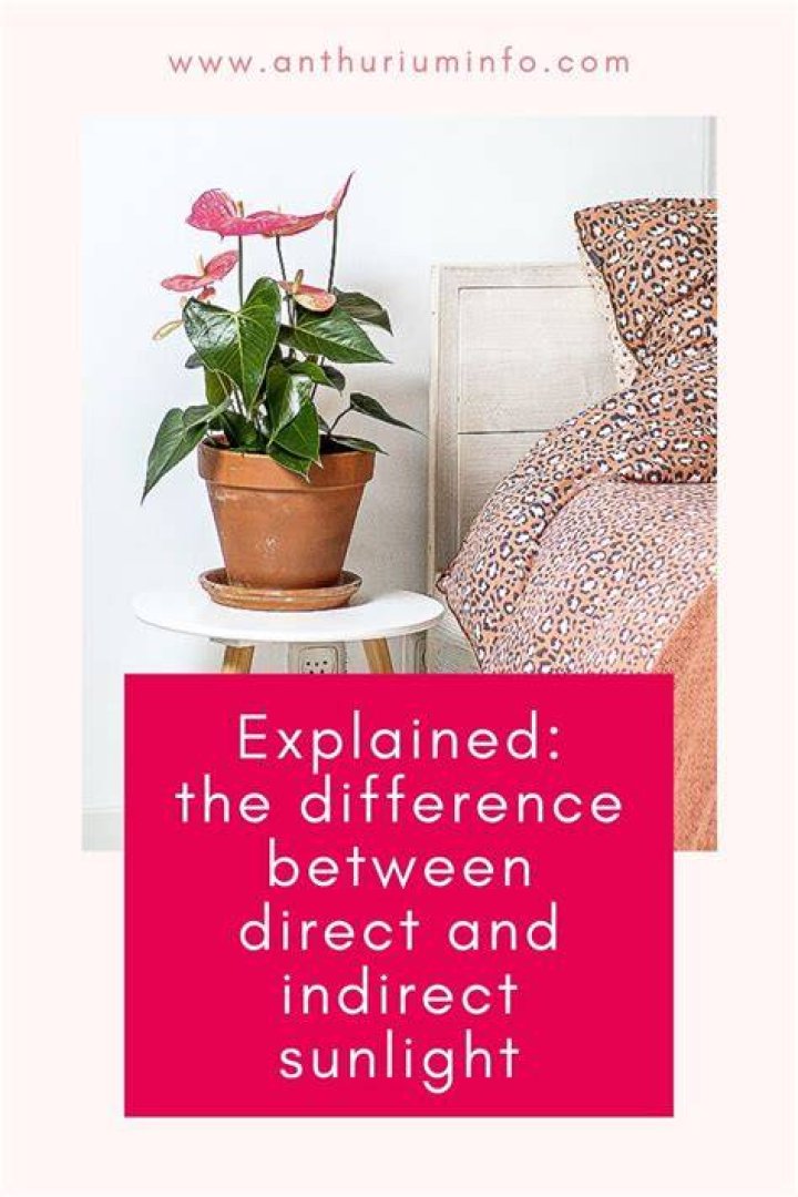 What is direct vs indirect sunlight?