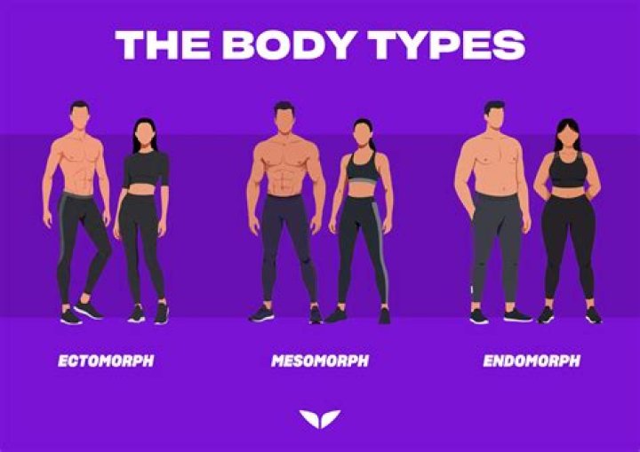 What is ecto body type?