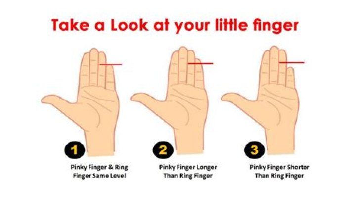 What is finger test in pregnancy?
