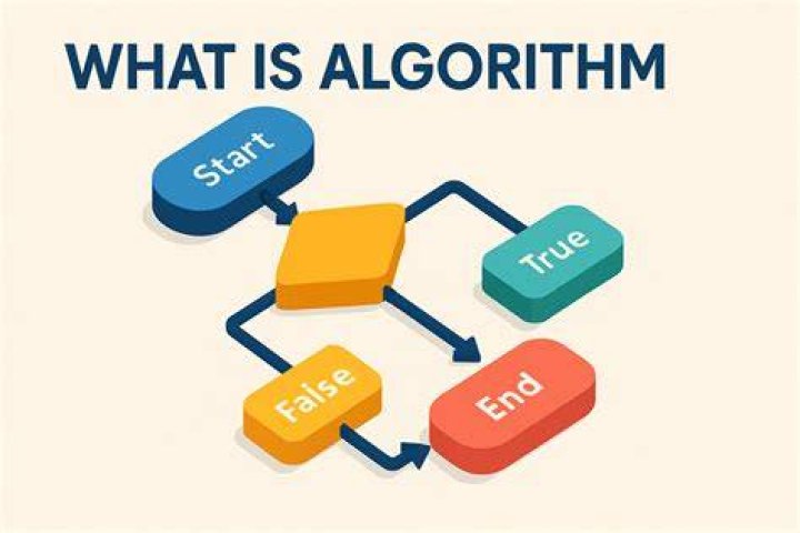 What is flag in algorithm?