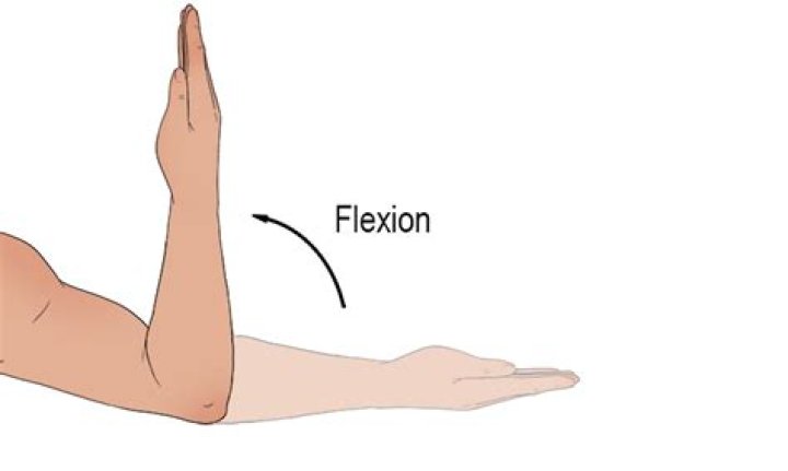 What is flexion movement?