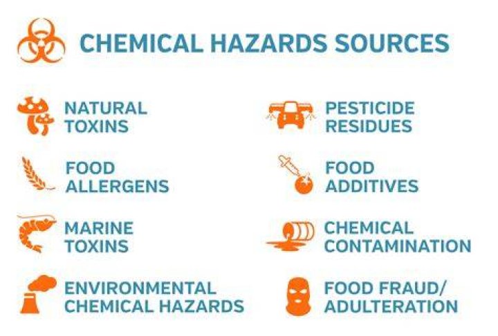 What is food hazard and its types?