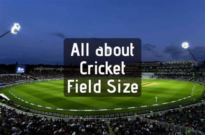 What is forfeit cricket?