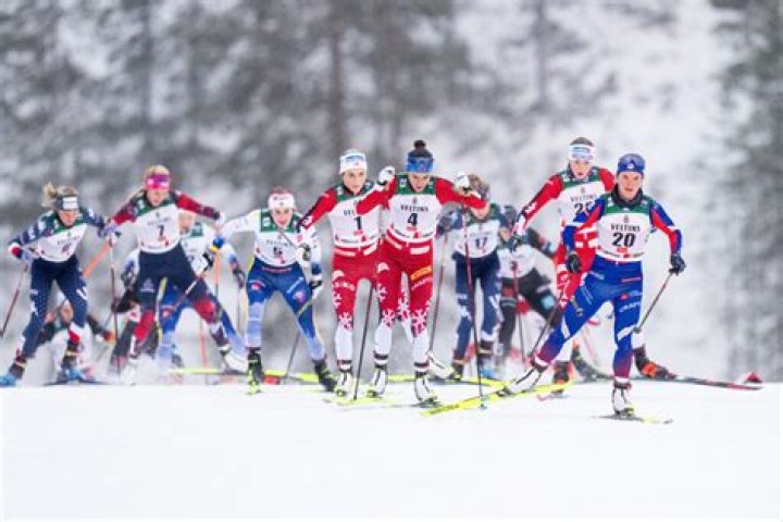 What is freestyle cross-country?