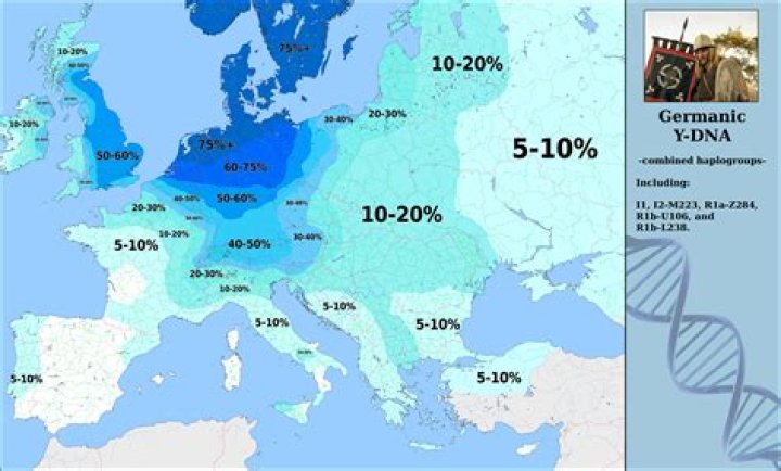 What is Germanic DNA?