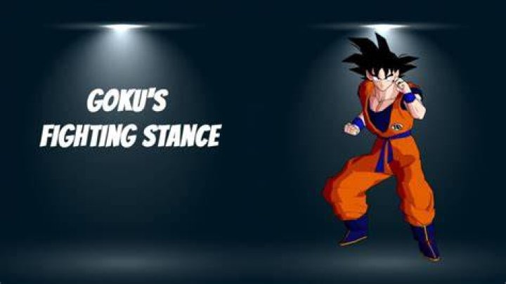 What is Goku's fighting stance?