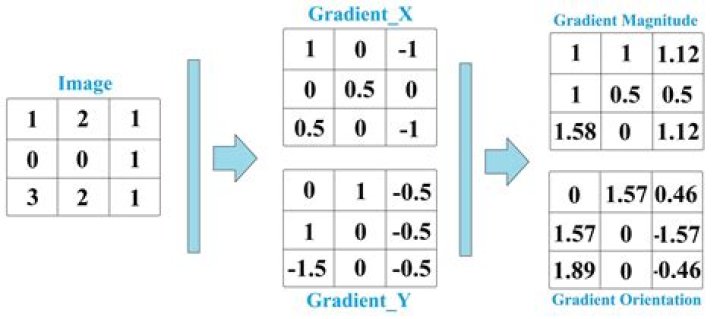 What is gradient of a matrix?