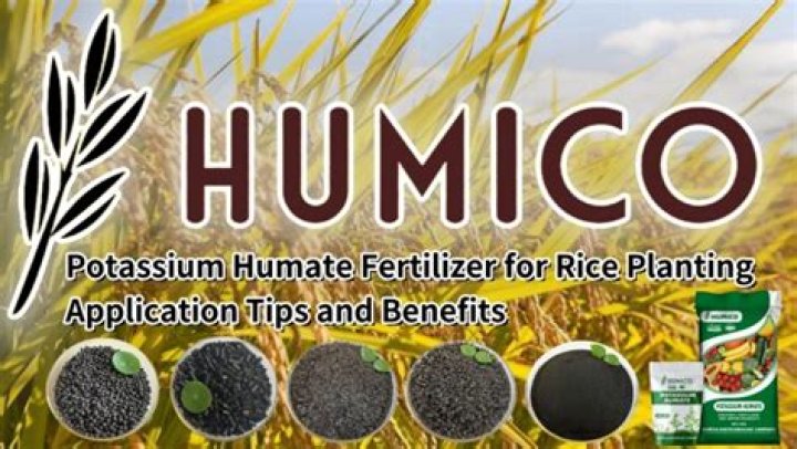 What is humate fertilizer?