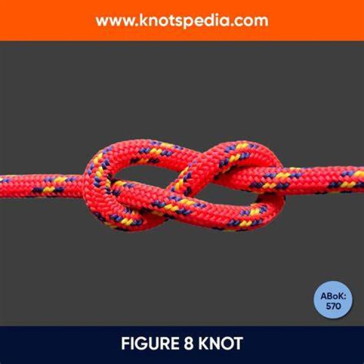 What is included in Figure 8 Basic?