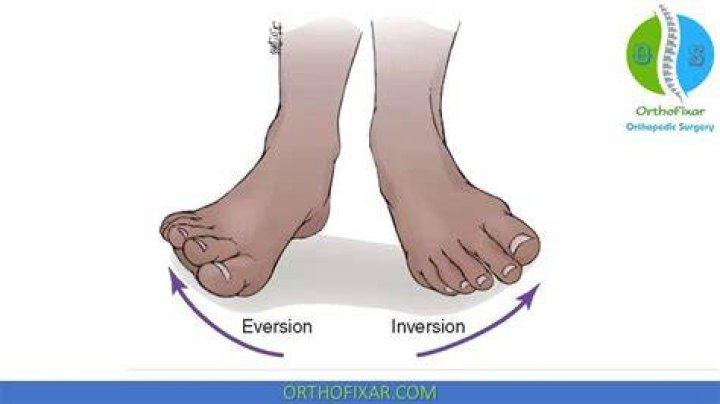 What is inversion foot?