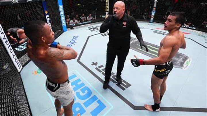 What is it called when a ref stops a fight?