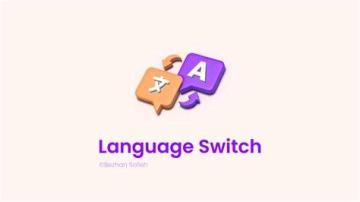 What is language switch?