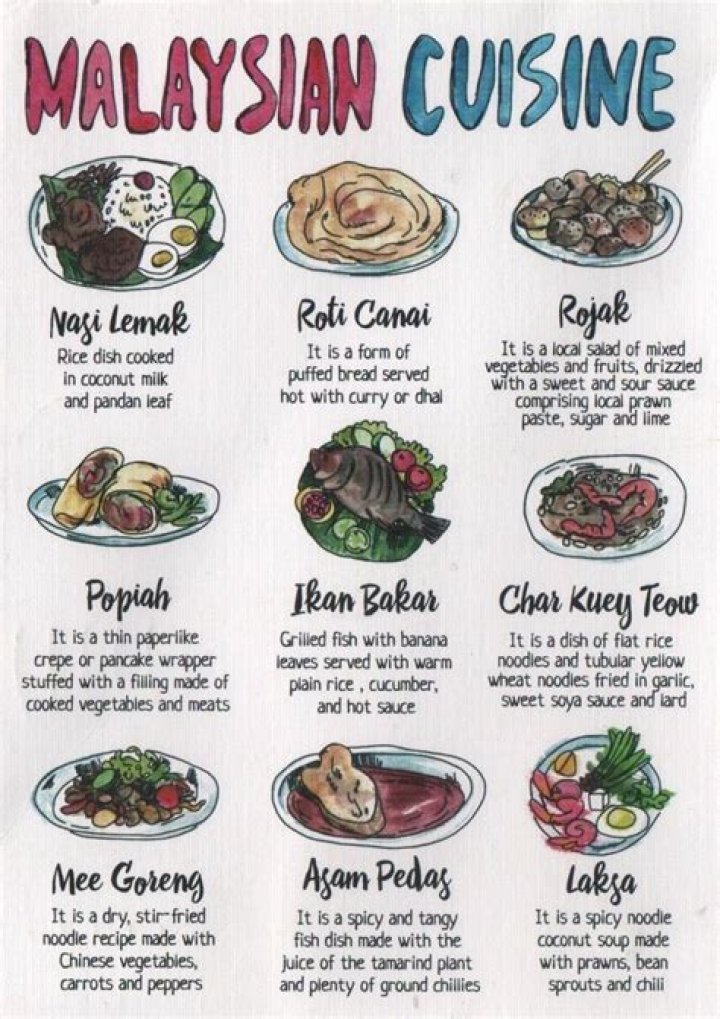What is Malaysia's national dish?