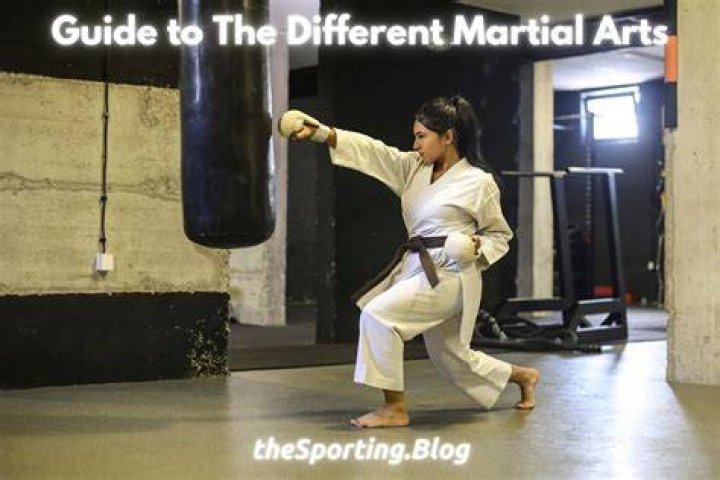 What is Maori martial arts?