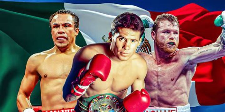 What is Mexican style boxing gloves?