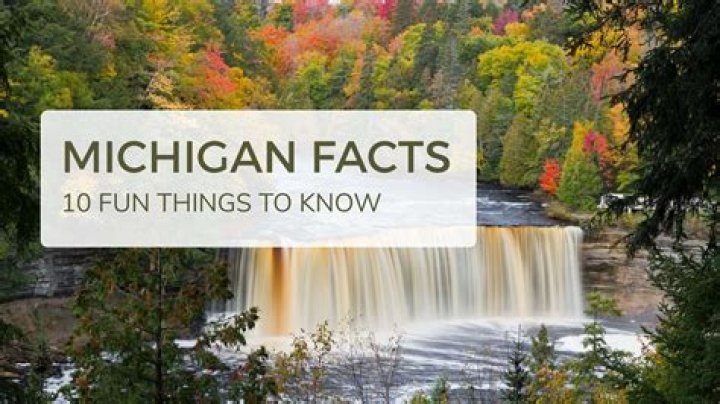 What is Michigan's state gem?