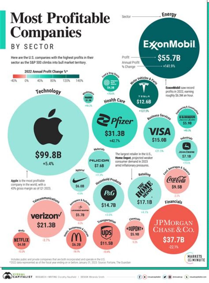 What is most profitable company in the world?