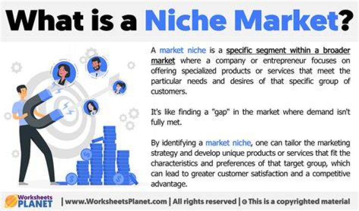 What is niche bank?