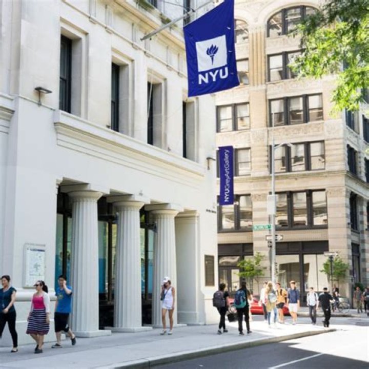 What is NYU looking for in a student?