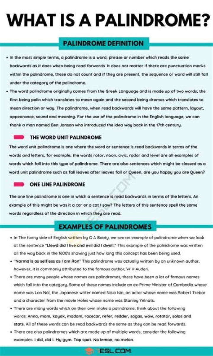 What is palindrome poem?