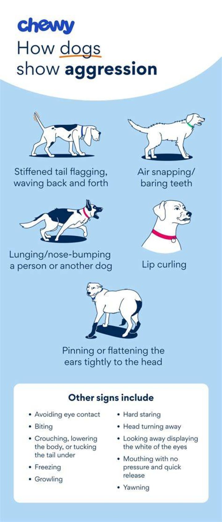 What is petting aggression?