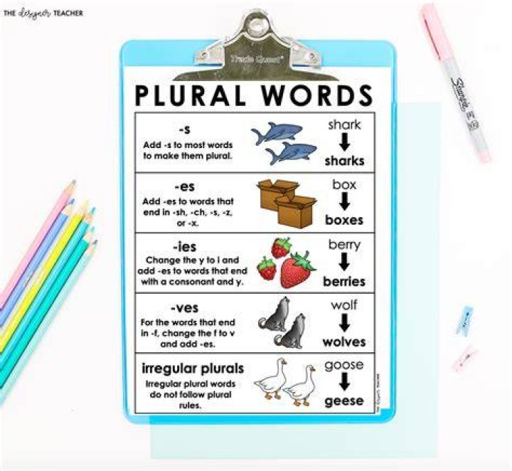 What is plural of swine?