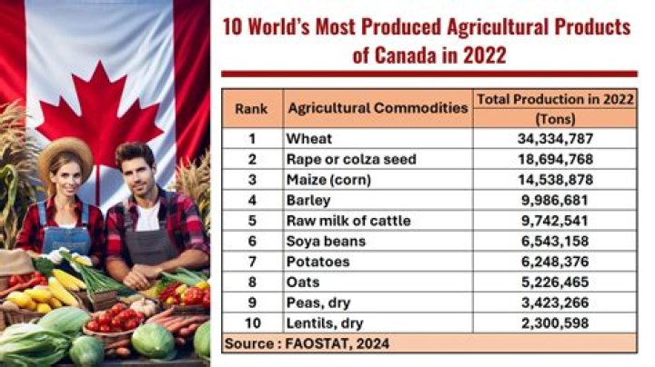 What is produced in Alberta?