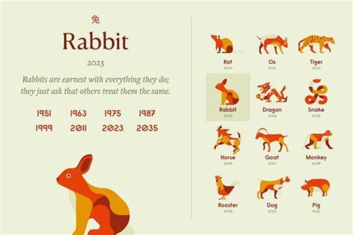 What is Rabbit runs in cricket?