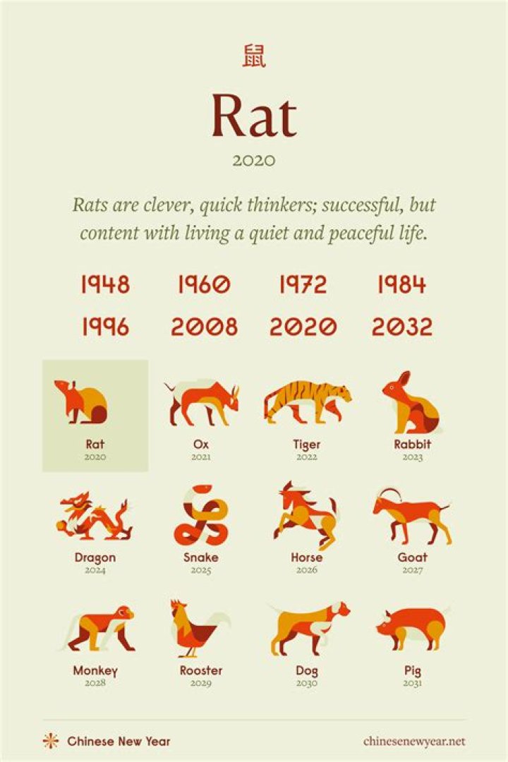 What is rat slang for?