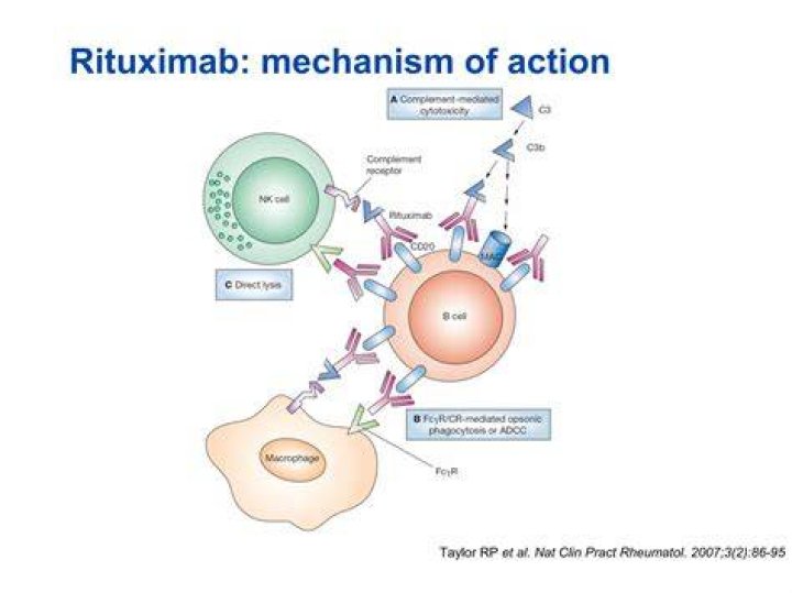 What is rituximab maintenance?