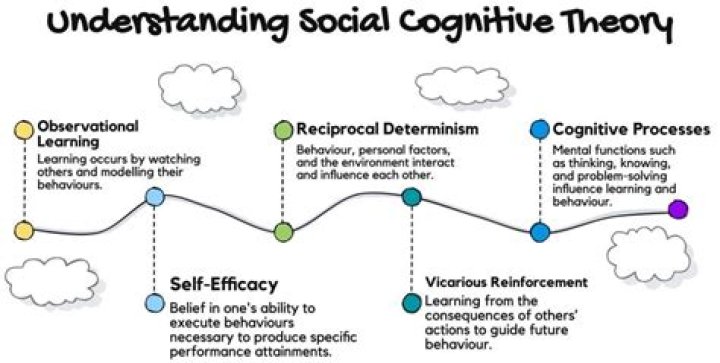 What is self cognitive?