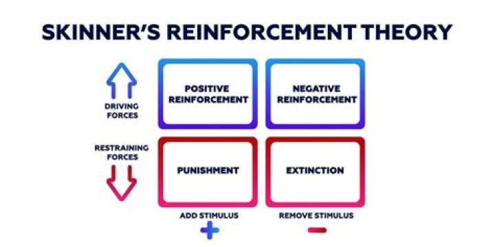 What is Skinner's reinforcement theory?