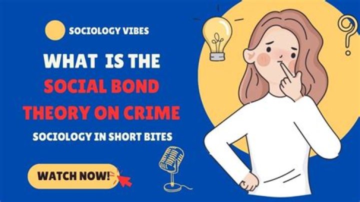 What is social crime?